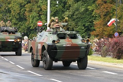 Parada wojsk ldowych - Army parade