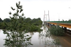 Okolice Mostu Siekierkowskiego - Siekierkowski Bridge neighborhood