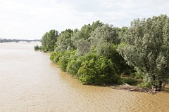 Most azienkowski i okolice - azienkowski bridge and neighborhood