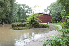 Wa Miedzeszyski - Wa Miedzeszyski Street