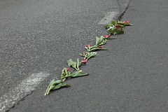 Kondukt aobny z trumn prezydenta Lecha Kaczyskiego - Funeral cortege with president Lech Kaczynski coffin